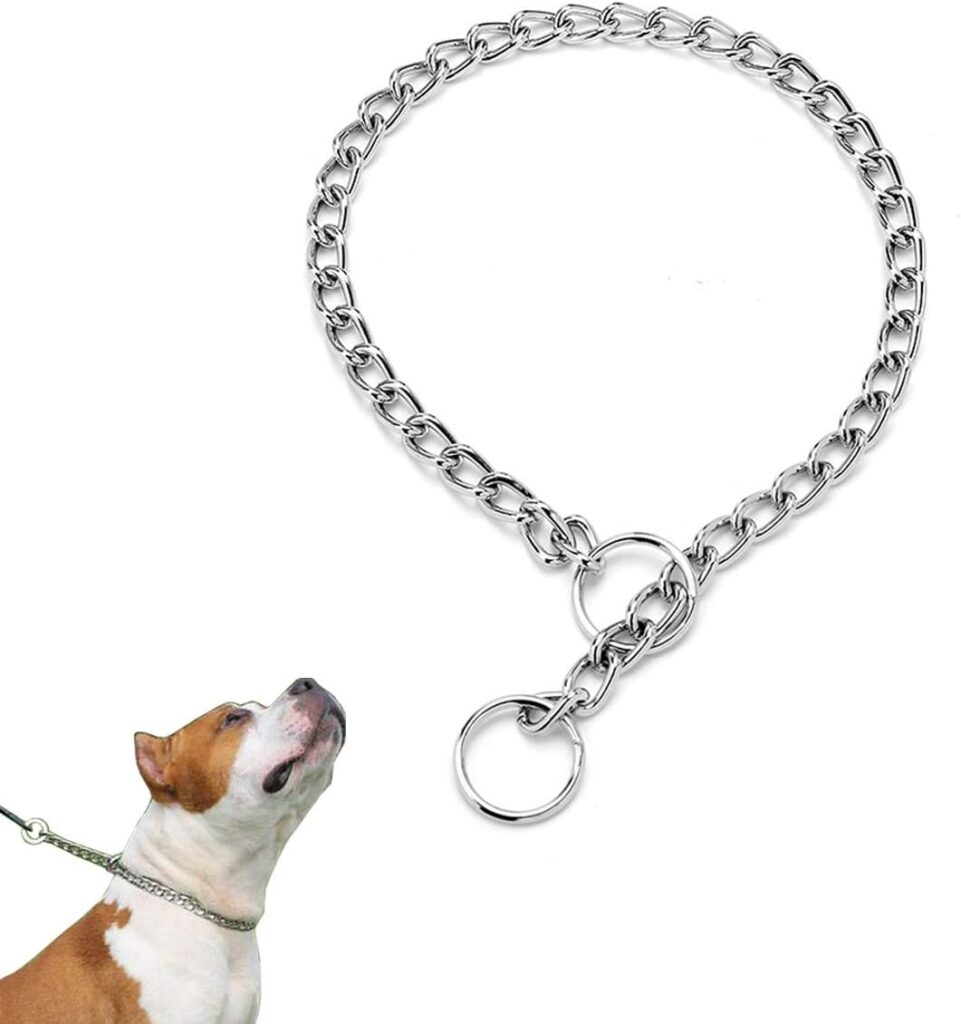 Best chain collar for dogs