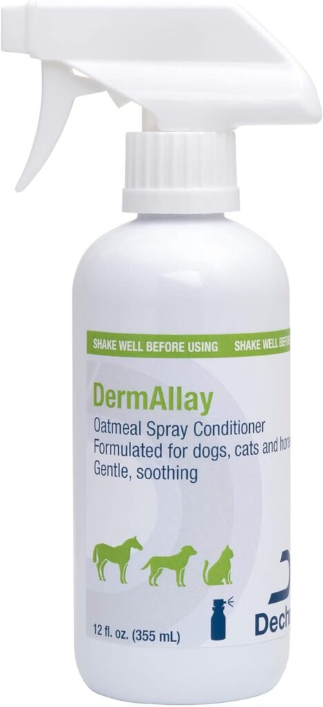 Best Shampoo for Dogs with Itchy Skin