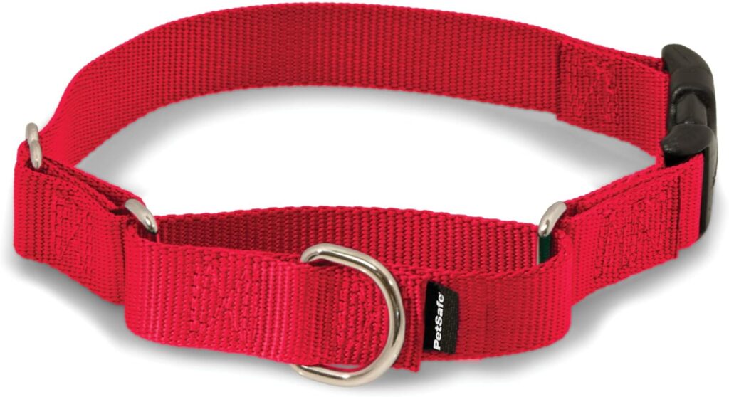 Dog Collar and Leash