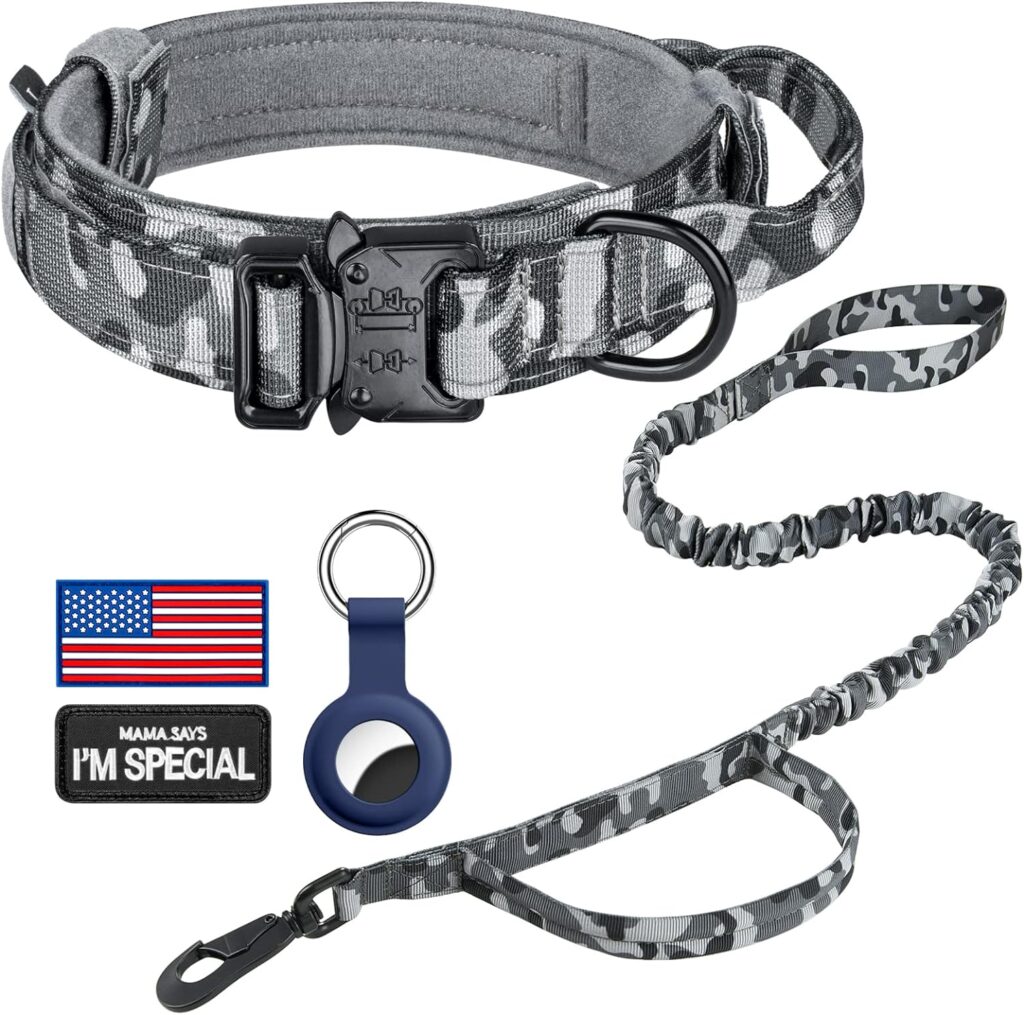 Dog Collar with Handle